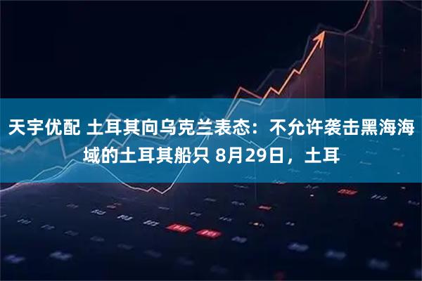 天宇优配 土耳其向乌克兰表态：不允许袭击黑海海域的土耳其船只 8月29日，土耳