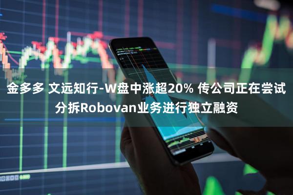 金多多 文远知行-W盘中涨超20% 传公司正在尝试分拆Robovan业务进行独立融资